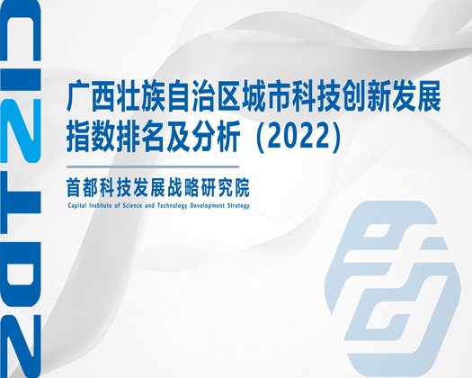 操死你你个小骚逼视频【成果发布】广西壮族自治区城市科技创新发展指数排名及分析（2022）